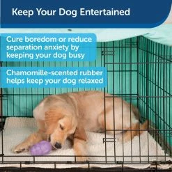 PetSafe Busy Buddy Chamomile-Scented Calming Dog Toys, Small, 2 pk. 11 PetSafe Busy Buddy Chamomile-Scented Calming Dog Toys, Small, 2 pk. -PetSafe Store 1258798 A2