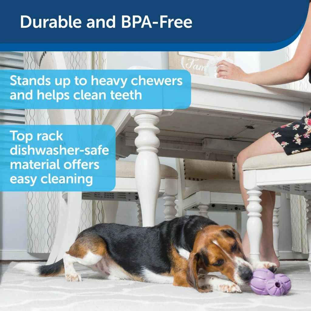 PetSafe Busy Buddy Chamomile-Scented Calming Dog Toys, Small, 2 pk. 6 PetSafe Busy Buddy Chamomile-Scented Calming Dog Toys, Small, 2 pk. - Image 4