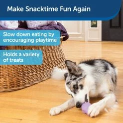 PetSafe Busy Buddy Chamomile-Scented Calming Dog Toys, Small, 2 pk. 13 PetSafe Busy Buddy Chamomile-Scented Calming Dog Toys, Small, 2 pk. -PetSafe Store 1258798 A4