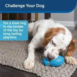 PetSafe Busy Buddy Hedgehog Dog Chew Toy -PetSafe Store 1258803 A3