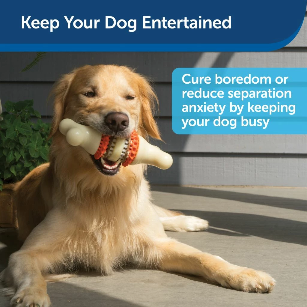 PetSafe Sportsmen Bristle Bone Dog Chew Toy, Large 4 PetSafe Sportsmen Bristle Bone Dog Chew Toy, Large - Image 2