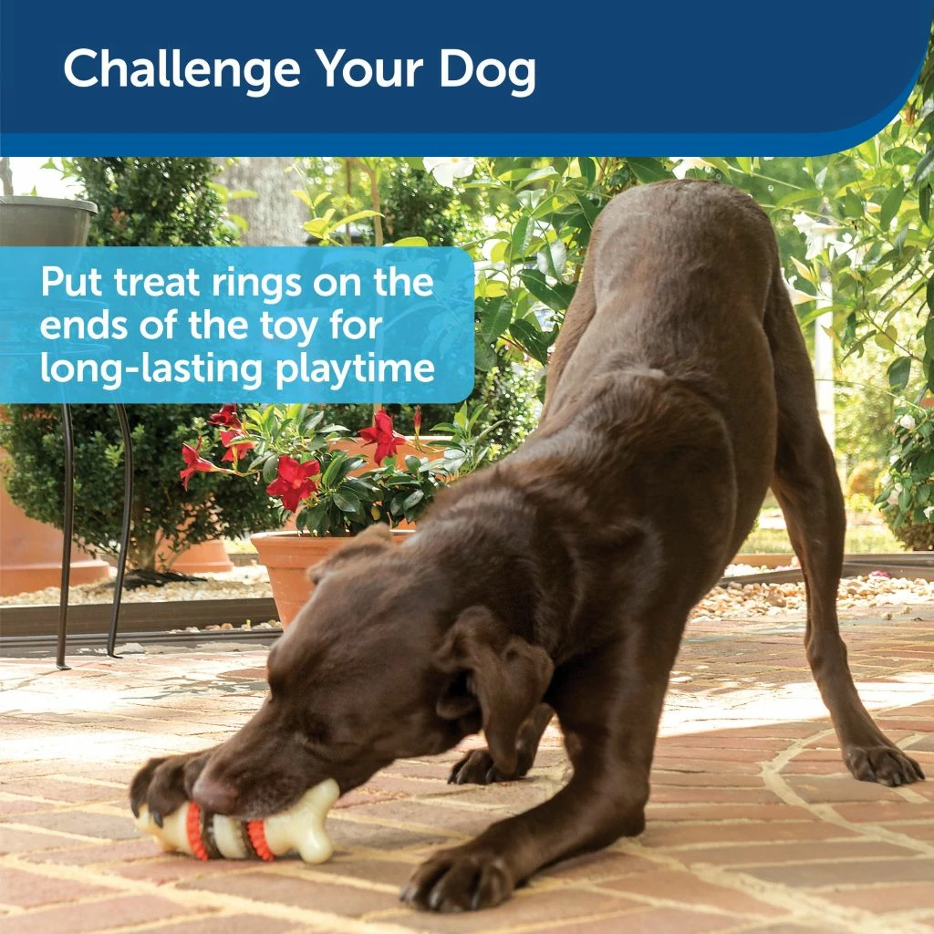 PetSafe Sportsmen Bristle Bone Dog Chew Toy, Large 6 PetSafe Sportsmen Bristle Bone Dog Chew Toy, Large - Image 4