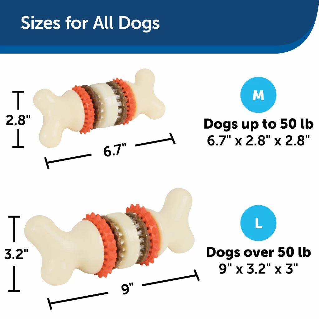 PetSafe Sportsmen Bristle Bone Dog Chew Toy, Large 7 PetSafe Sportsmen Bristle Bone Dog Chew Toy, Large - Image 5