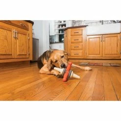 PetSafe Sportsmen Jack Dog Chew Toy, Large -PetSafe Store 1258812 A2