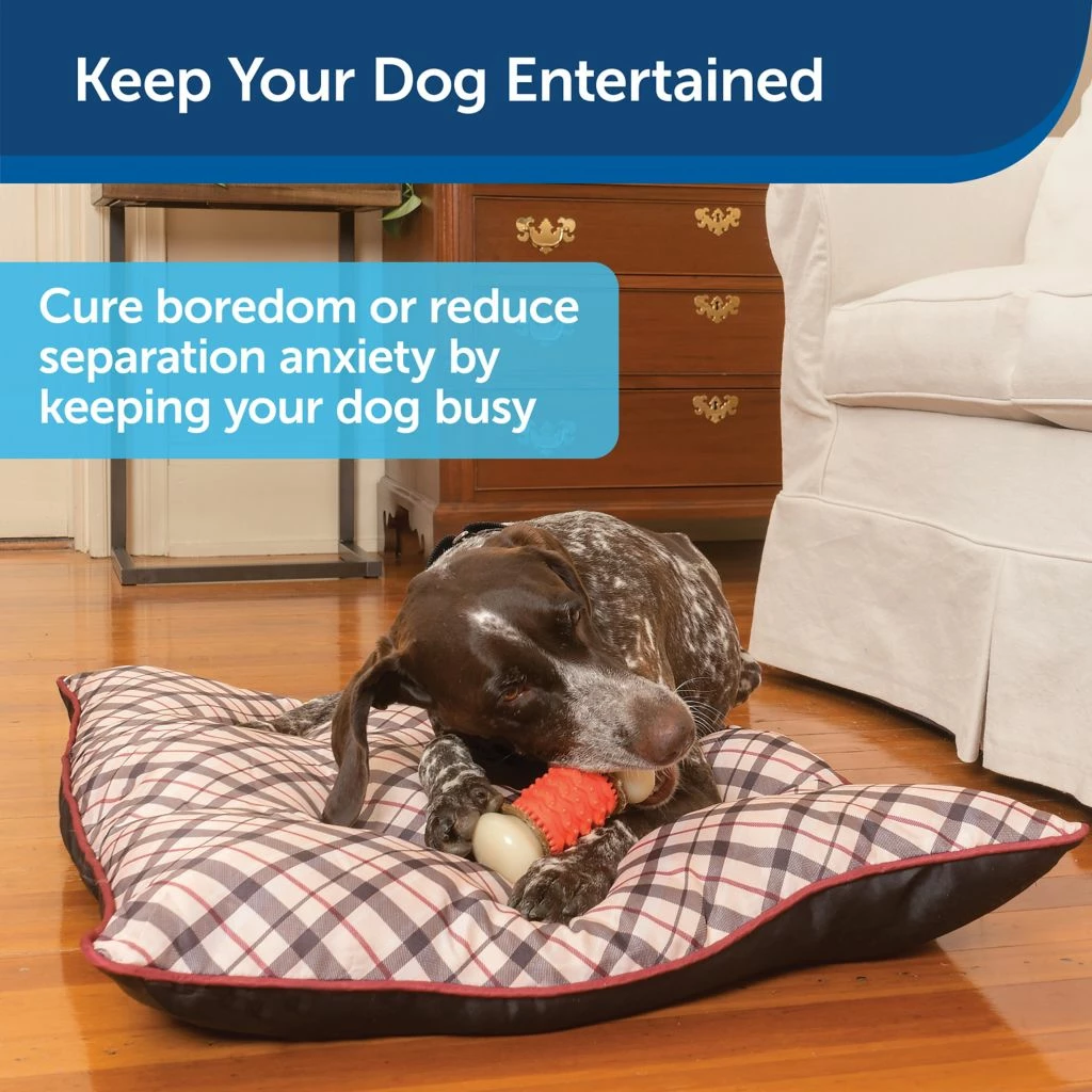 PetSafe Sportsmen Treat Holding Nobbly Nubbly Dog Chew Toy, Medium 4 PetSafe Sportsmen Treat Holding Nobbly Nubbly Dog Chew Toy, Medium - Image 2