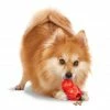 PetSafe Sportsmen Barnacle Dog Chew Toy, Small