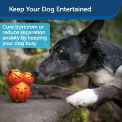 PetSafe Sportsmen Barnacle Dog Chew Toy, Small -PetSafe Store 1258817 A3