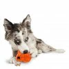 PetSafe Sportsmen Treat Holding Barnacle Dog Chew Toy, Medium 2 PetSafe Sportsmen Treat Holding Barnacle Dog Chew Toy, Medium -PetSafe Store 1258818