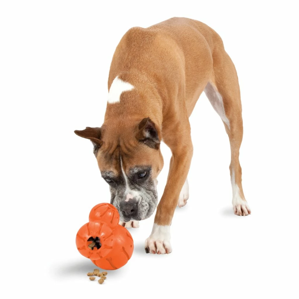 PetSafe Sportsmen Barnacle Dog Chew Toy, Large 3 PetSafe Sportsmen Barnacle Dog Chew Toy, Large