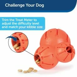PetSafe Sportsmen Barnacle Dog Chew Toy, Large 11 PetSafe Sportsmen Barnacle Dog Chew Toy, Large -PetSafe Store 1258819 A2