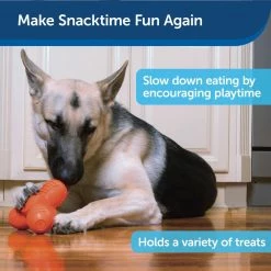 PetSafe Sportsmen Troog Squeak 'N Treat Dog Chew Toy, Medium -PetSafe Store 1258822 A3