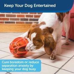 PetSafe Sportsmen Kibble Nibble Dog Chew Toy, Medium/Large -PetSafe Store 1258824 A3