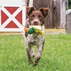 PetSafe Sportsmen Squeeze Meeze Duck Dog Toy 10 PetSafe Sportsmen Squeeze Meeze Duck Dog Toy -PetSafe Store 1258827 A3
