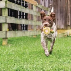 PetSafe Sportsmen Squeeze Meeze Turkey Dog Toy -PetSafe Store 1258828 A4