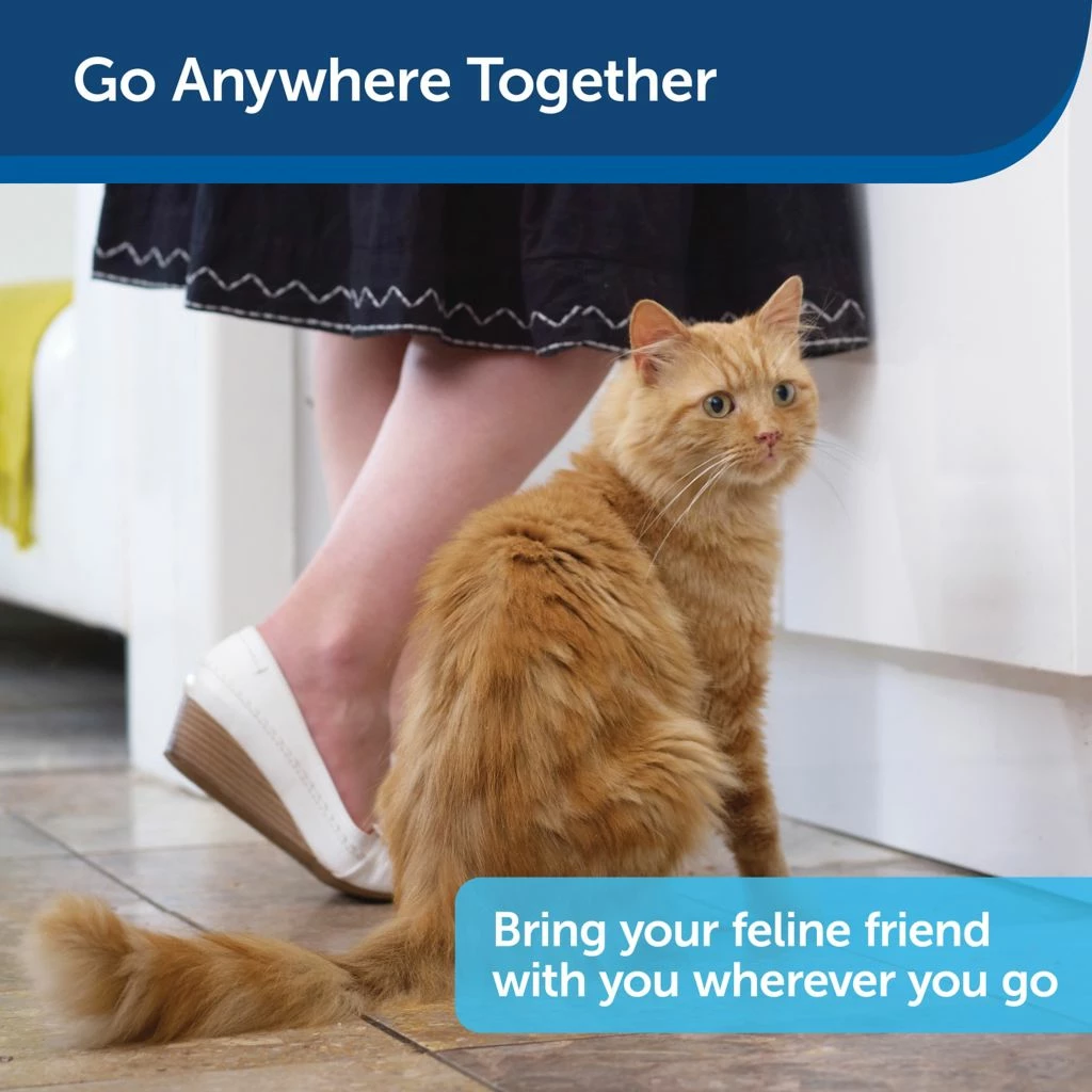 PetSafe Disposable Cat Litter Box 7 PetSafe Disposable Cat Litter Box - Image 5