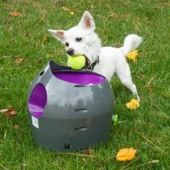 PetSafe Tennis Ball Dog Toys, 3-Pack -PetSafe Store 1258841 A3