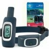 PetSafe Remote Dog Training Collar, 900 yd. Range -PetSafe Store 1293968