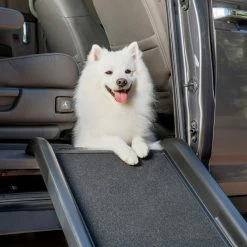 PetSafe Happy Ride Mini Dog Ramp