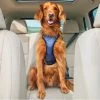 PetSafe Happy Ride Safety Harness, Large -PetSafe Store 1339608