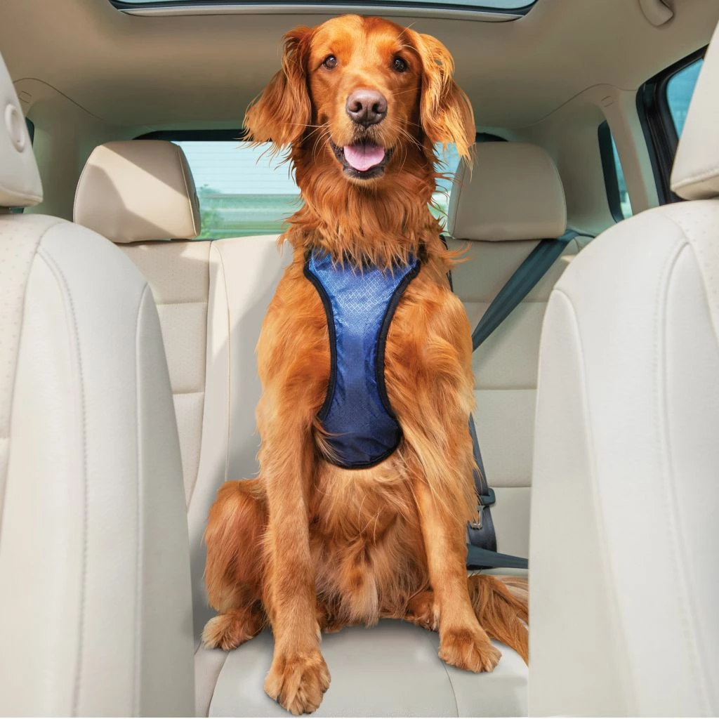 PetSafe Happy Ride Safety Harness, Large 3 PetSafe Happy Ride Safety Harness, Large