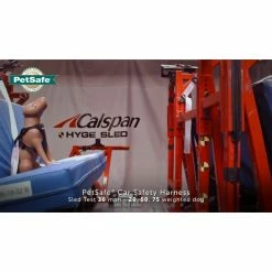 PetSafe Happy Ride Safety Harness, Large 15 PetSafe Happy Ride Safety Harness, Large -PetSafe Store 1339608 VIDEO 1 480x270 1200k