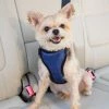 PetSafe Happy Ride Safety Harness -PetSafe Store 1339609