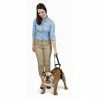 PetSafe Carelift Dog Lifting Aid Rear Only Harness 1 PetSafe Carelift Dog Lifting Aid Rear Only Harness -PetSafe Store 1339617