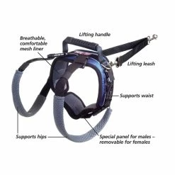 PetSafe Carelift Dog Lifting Aid Rear Only Harness -PetSafe Store 1339617 A3