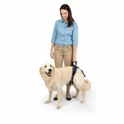 PetSafe Carelift Dog Lifting Aid Rear Only Harness -PetSafe Store 1339617 A5