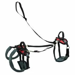 PetSafe CareLift Support Dog Harness, Small -PetSafe Store 1339618 A2