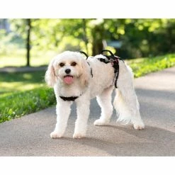 PetSafe CareLift Support Dog Harness, Small -PetSafe Store 1339618 A4