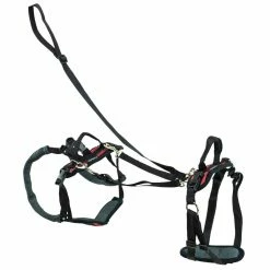 PetSafe CareLift Support Dog Harness, Small -PetSafe Store 1339618 A5