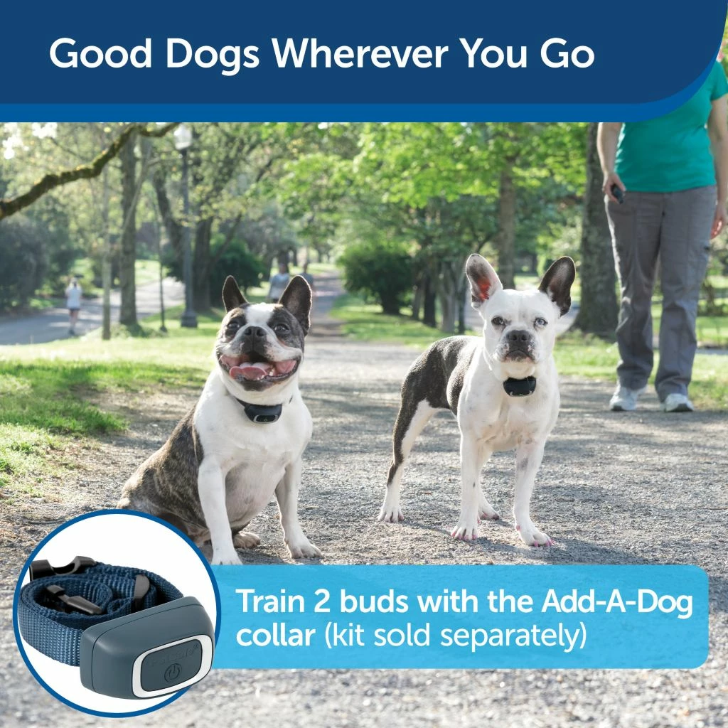 PetSafe Lite Add-A-Dog Remote Dog Training Collar, 300 yd. Range, Waterproof, 15 Levels Stimulation, for 8 lb. or Smaller Dogs 4 PetSafe Lite Add-A-Dog Remote Dog Training Collar, 300 yd. Range, Waterproof, 15 Levels Stimulation, for 8 lb. or Smaller Dogs - Image 2
