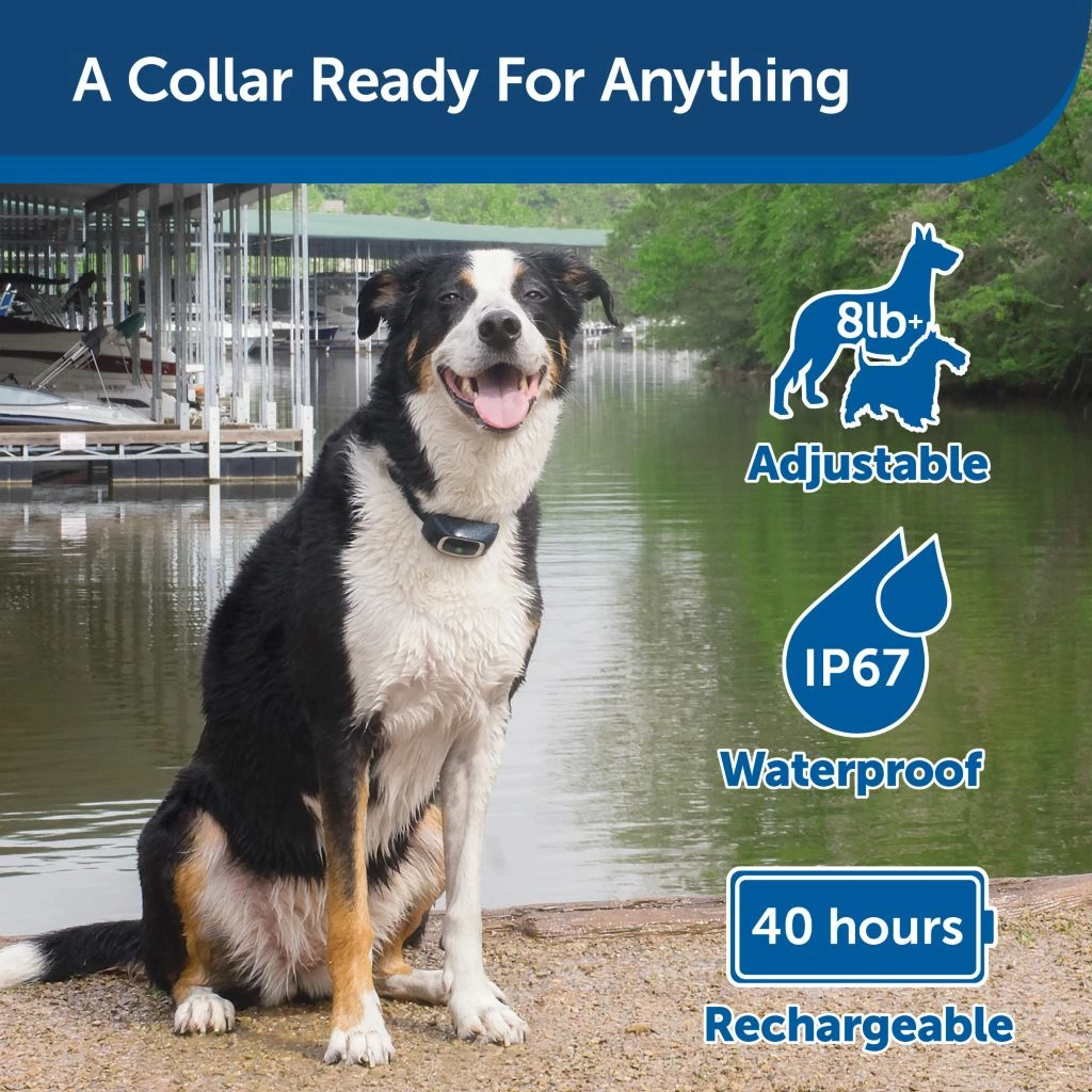PetSafe Lite Add-A-Dog Remote Dog Training Collar, 300 yd. Range, Waterproof, 15 Levels Stimulation, for 8 lb. or Smaller Dogs 5 PetSafe Lite Add-A-Dog Remote Dog Training Collar, 300 yd. Range, Waterproof, 15 Levels Stimulation, for 8 lb. or Smaller Dogs - Image 3