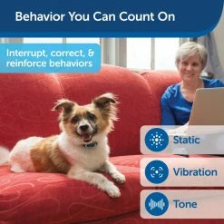 PetSafe Lite Remote Dog Training Collar, 600 yd. Range -PetSafe Store 1339660 A2