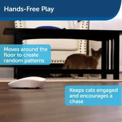 PetSafe Laser Tail Cat Toy - Fun and Safe Laser Light Game for Cats -PetSafe Store 1339666 A2