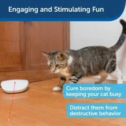 PetSafe Laser Tail Cat Toy - Fun and Safe Laser Light Game for Cats -PetSafe Store 1339666 A4