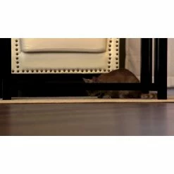 PetSafe Laser Tail Cat Toy - Fun and Safe Laser Light Game for Cats -PetSafe Store 1339666 VIDEO 1 480x270 1200k