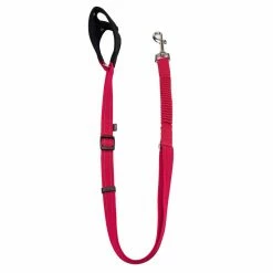 PetSafe Sport Reflective Dog Leash -PetSafe Store 1339677