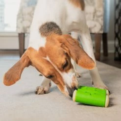 PetSafe Busy Buddy Ribinator Dog Toy, Small -PetSafe Store 1460285 A2