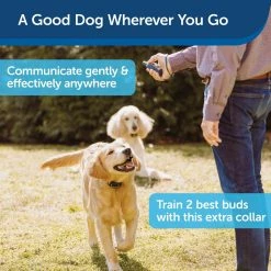 PetSafe Remote Spray Trainer Add-a-Dog Training Dog Collar -PetSafe Store 1460309 A2
