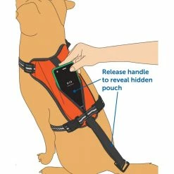 PetSafe Walk Along Reflective Outdoor Dog Harness, Small, Orange -PetSafe Store 1460314 A2