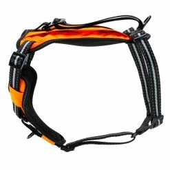 PetSafe Walk Along Reflective Outdoor Dog Harness, Medium, Orange
