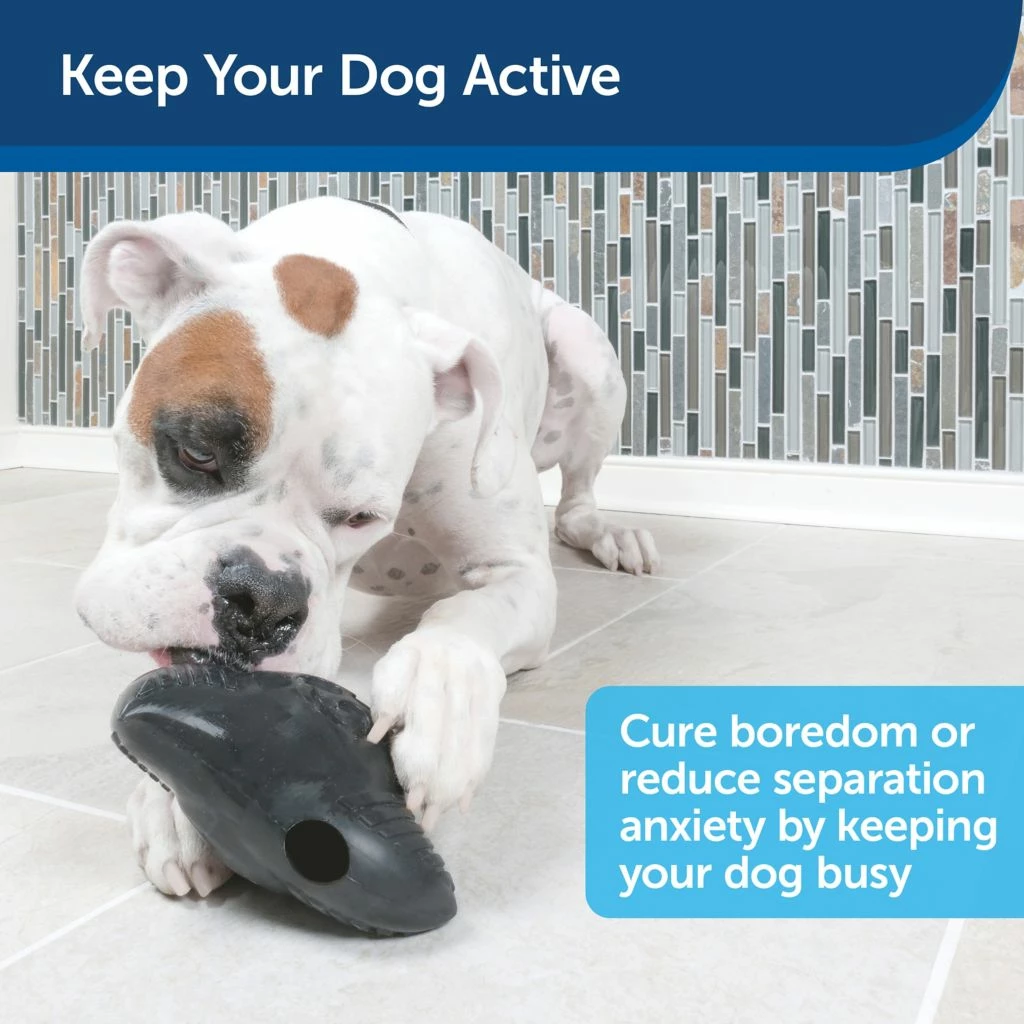 PetSafe Squeak 'N Treat Ninja Star Dog Chew Toy, Medium 4 PetSafe Squeak 'N Treat Ninja Star Dog Chew Toy, Medium - Image 2