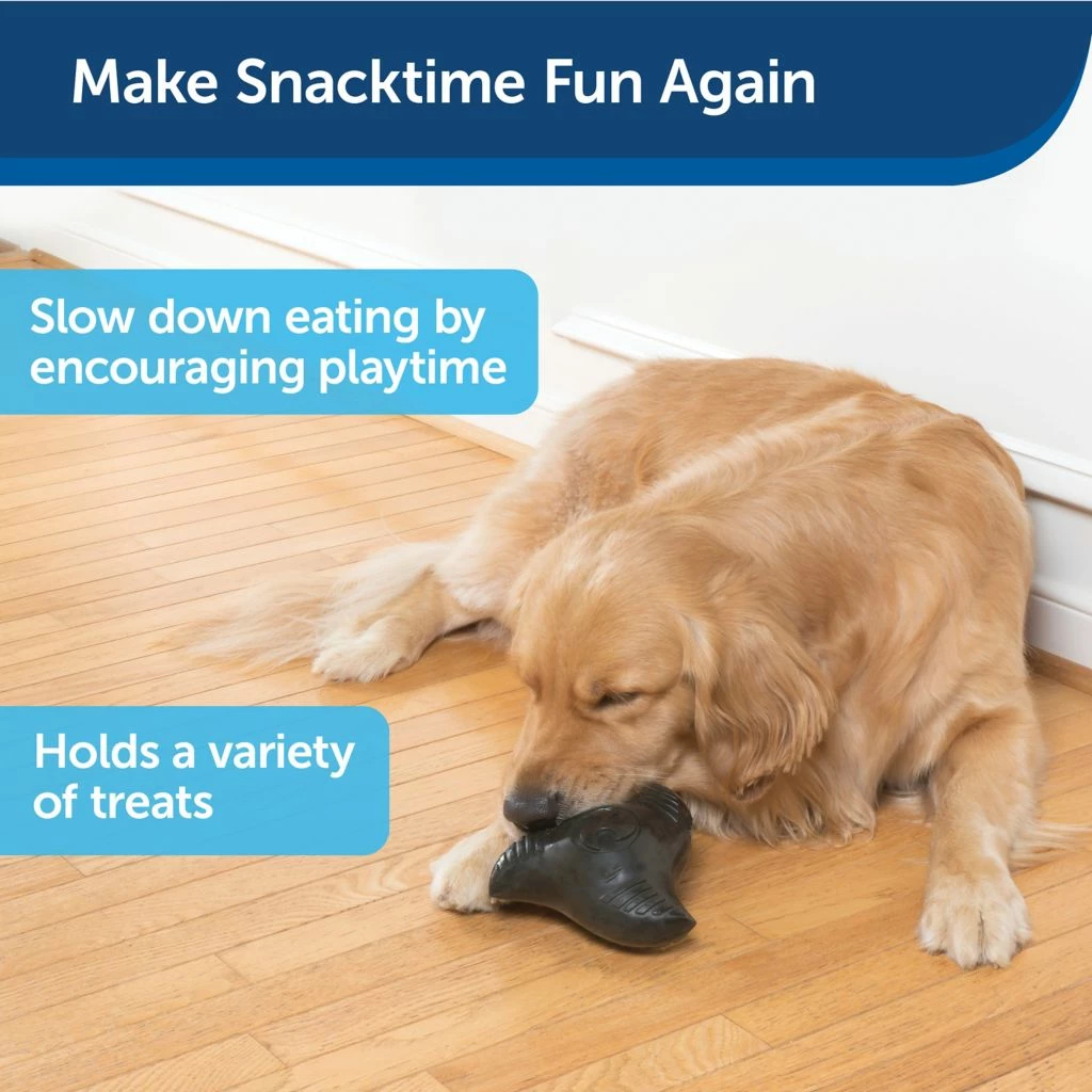 PetSafe Squeak 'N Treat Ninja Star Dog Chew Toy, Medium 6 PetSafe Squeak 'N Treat Ninja Star Dog Chew Toy, Medium - Image 4