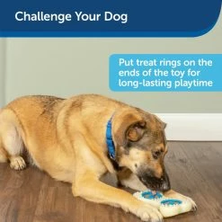 PetSafe Busy Buddy Forever Dog Toy Bone, Medium -PetSafe Store 1460331 A4