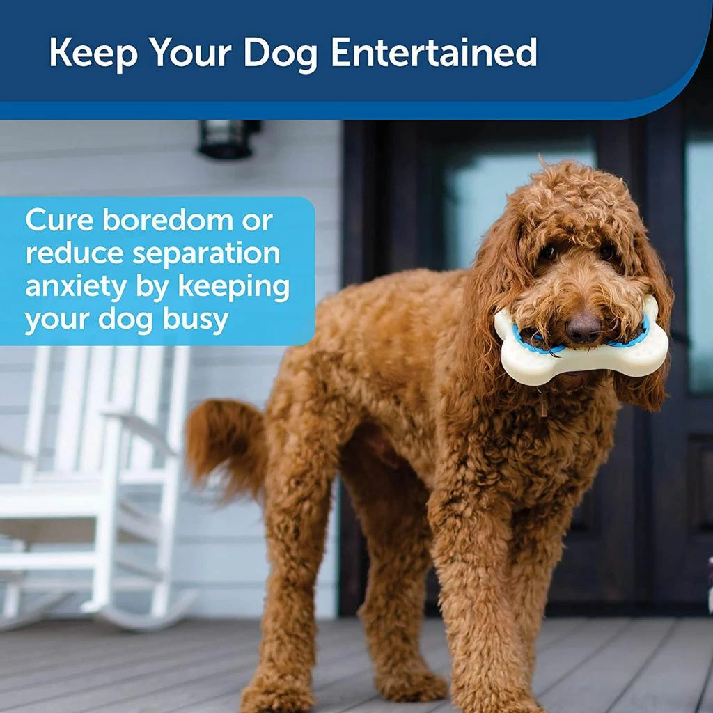 PetSafe Forever Bone Treat Ring Dog Toy, Large 4 PetSafe Forever Bone Treat Ring Dog Toy, Large - Image 2