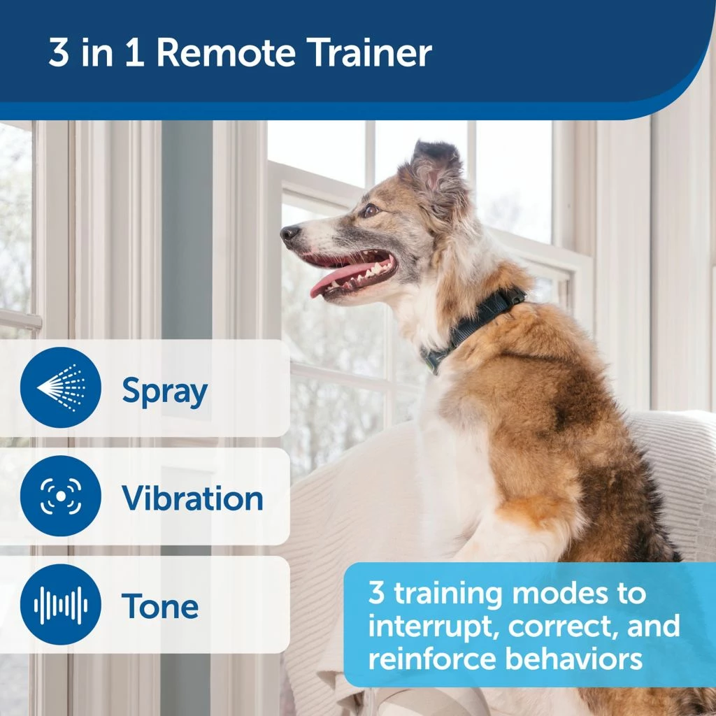 PetSafe 300 Yard Remote Spray Trainer for Dogs 4 PetSafe 300 Yard Remote Spray Trainer for Dogs - Image 2