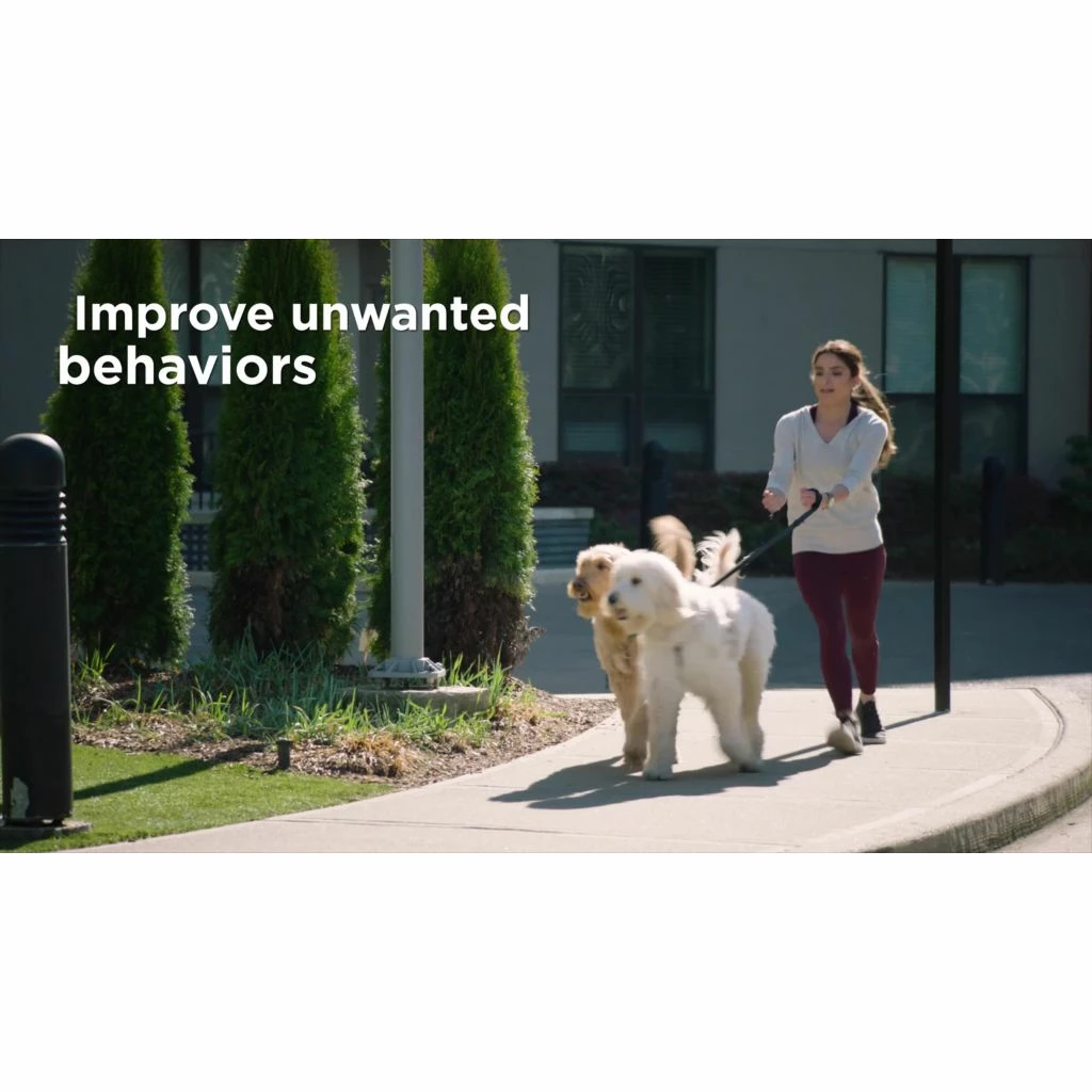 PetSafe 300 Yard Remote Spray Trainer for Dogs 10 PetSafe 300 Yard Remote Spray Trainer for Dogs - Image 8