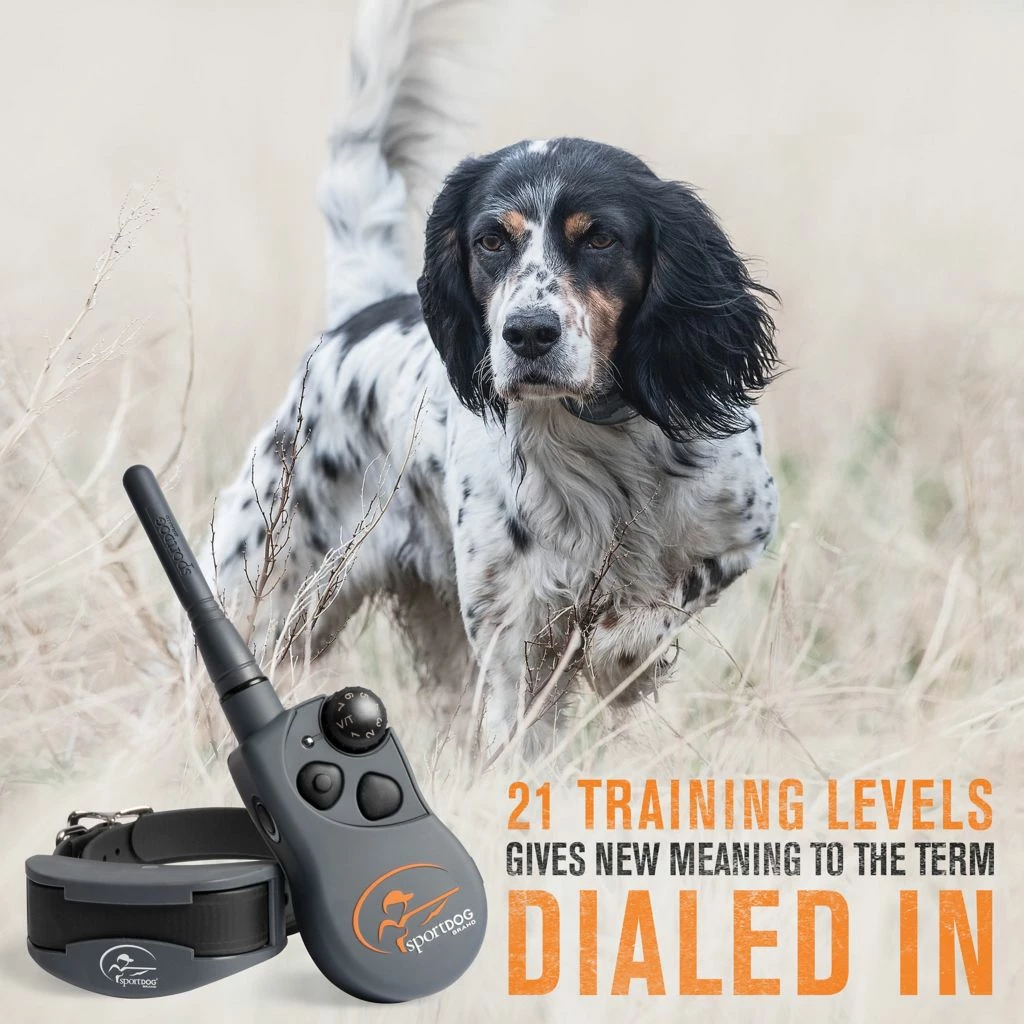 PetSafe SportHunter 1225X Rechargeable Remote Dog Training Collar, 3/4 Mile Range, for Dogs 8 lb. or Larger 5 PetSafe SportHunter 1225X Rechargeable Remote Dog Training Collar, 3/4 Mile Range, for Dogs 8 lb. or Larger - Image 3